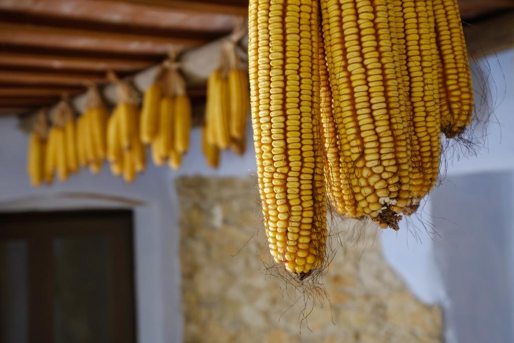 Can Barnosell - Els Masos D'En Coll Llaviá Exterior foto